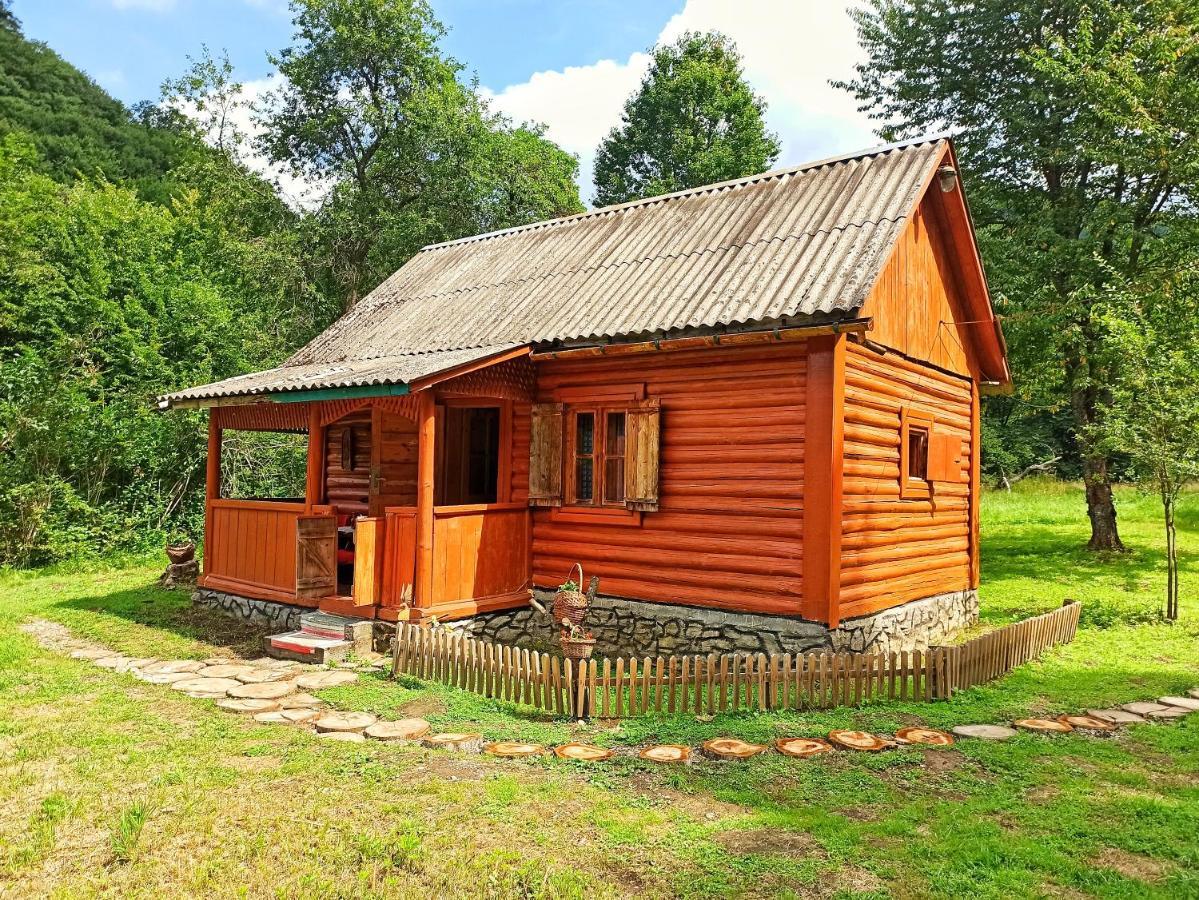 Eko Sadiba Pid Poloninou Vila Sasivka Exterior foto