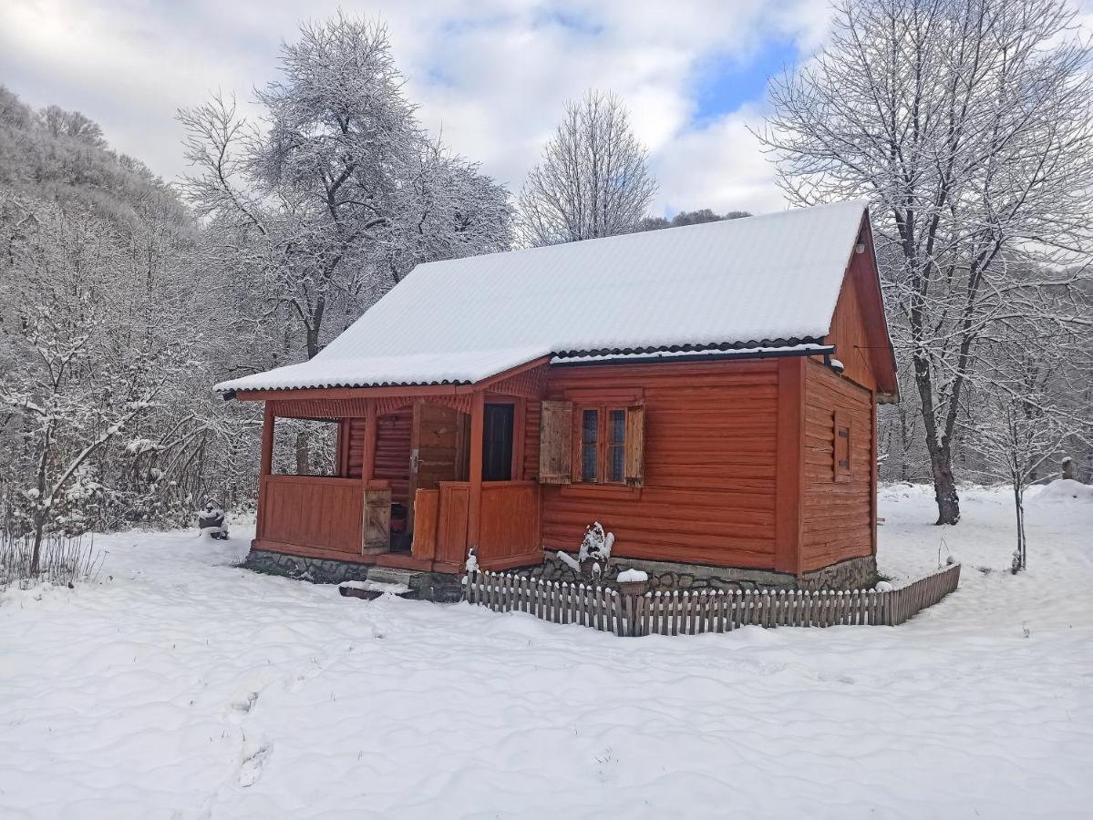 Eko Sadiba Pid Poloninou Vila Sasivka Exterior foto