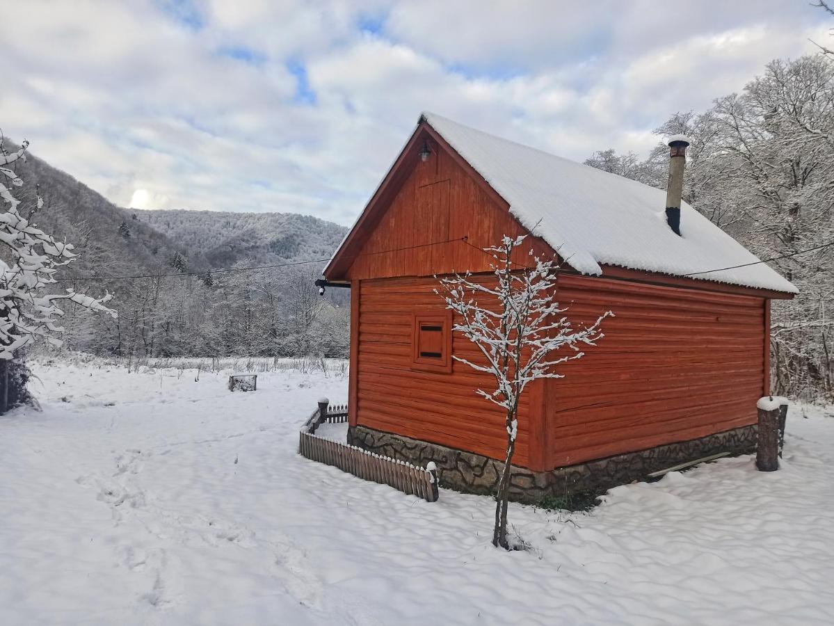 Eko Sadiba Pid Poloninou Vila Sasivka Exterior foto