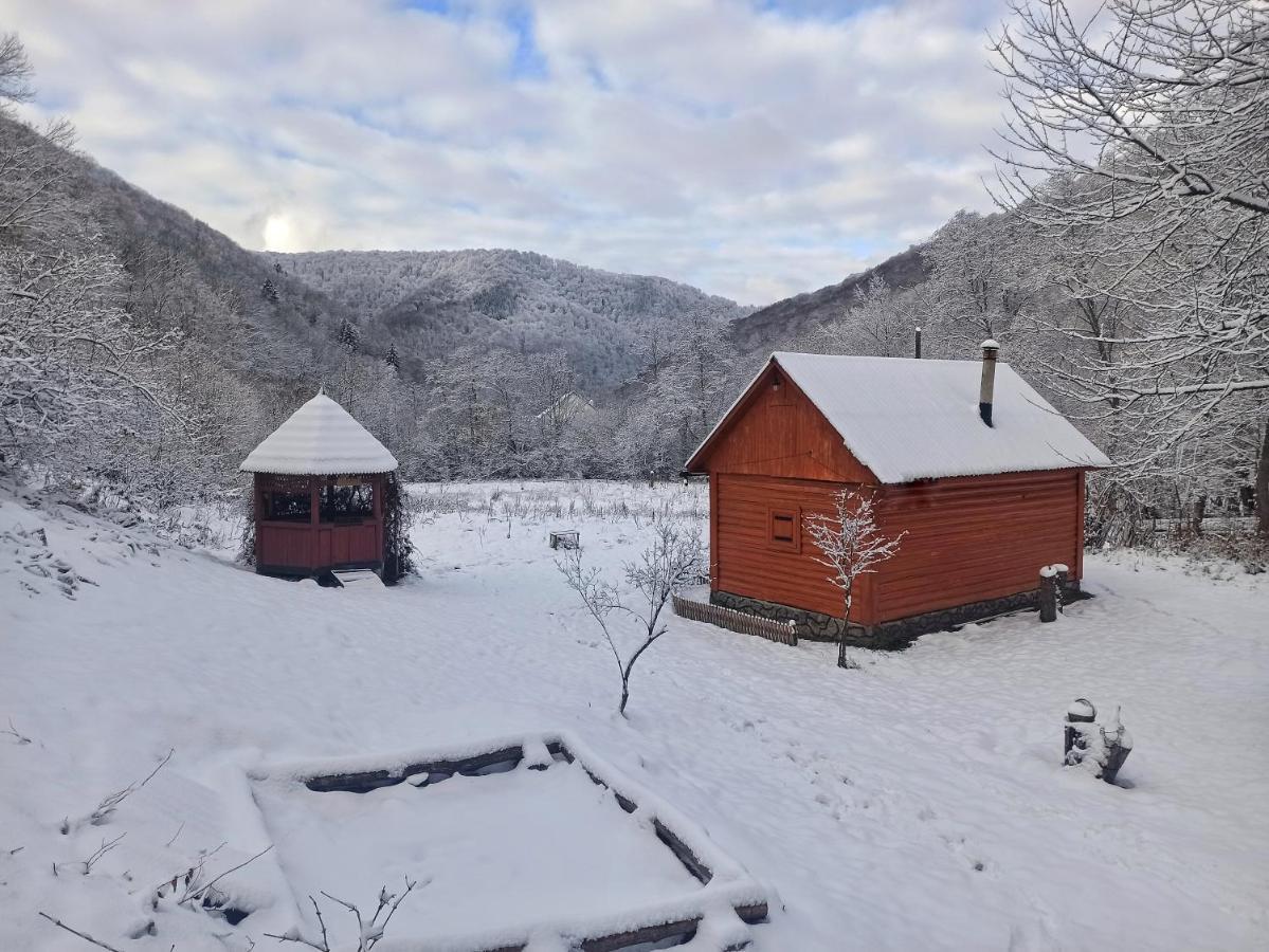 Eko Sadiba Pid Poloninou Vila Sasivka Exterior foto