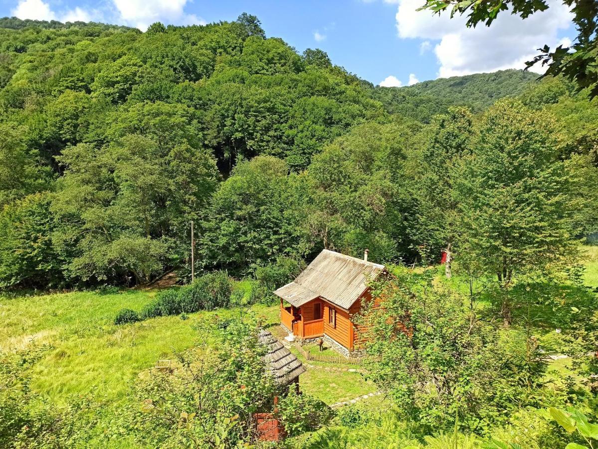 Eko Sadiba Pid Poloninou Vila Sasivka Exterior foto