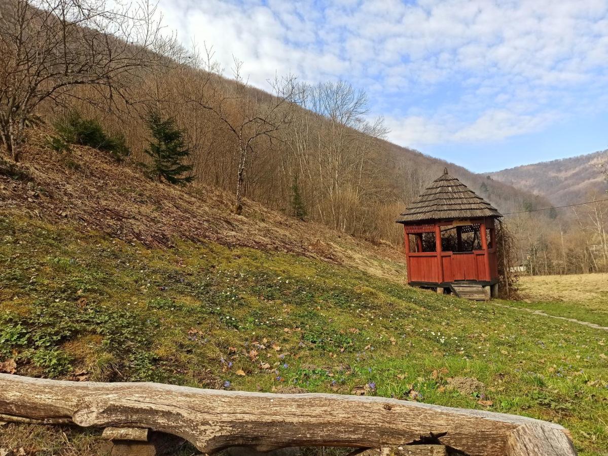 Eko Sadiba Pid Poloninou Vila Sasivka Exterior foto