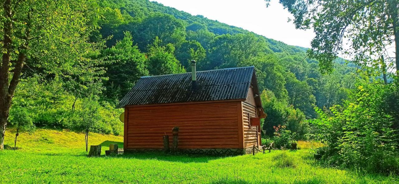 Eko Sadiba Pid Poloninou Vila Sasivka Exterior foto