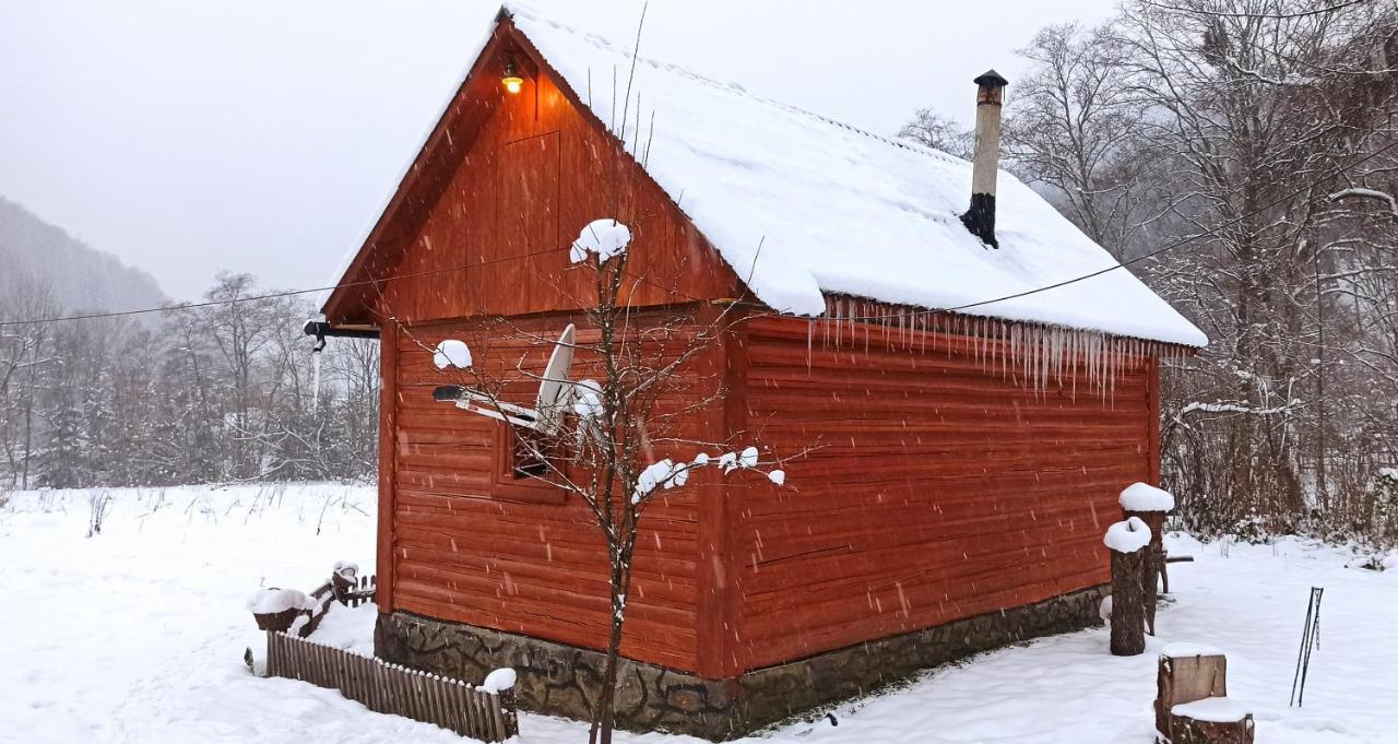 Eko Sadiba Pid Poloninou Vila Sasivka Exterior foto